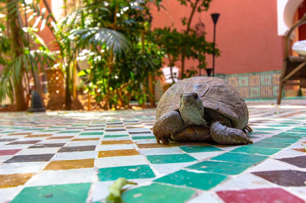 Riad Kaiss By Anika Marrakesh Bagian luar foto